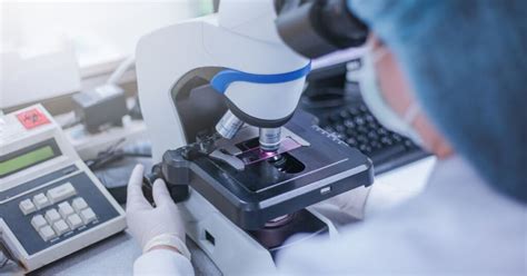 Different Colours of Biotechnology 的图像结果