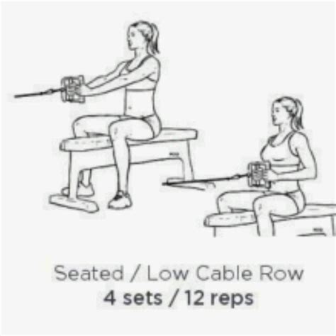 Image result for Cable Row Workout
