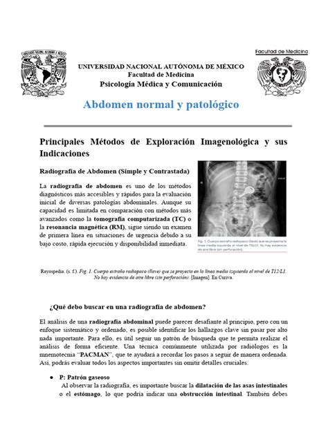 Abdomen Normal y Patológico | PDF | Abdomen | Intestino grueso