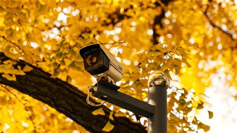 Image result for Basic Security Camera