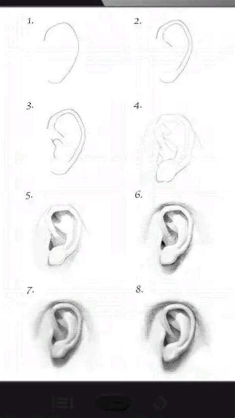 Image result for Ear Drawing Tutorial