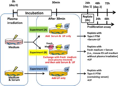 Different Experiments 的图像结果