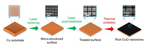 Rich CuO Nanowires Fabrication via Laser Post-Treatment of Laser ...