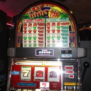 slotswinner cash gaming experience,this game offers p