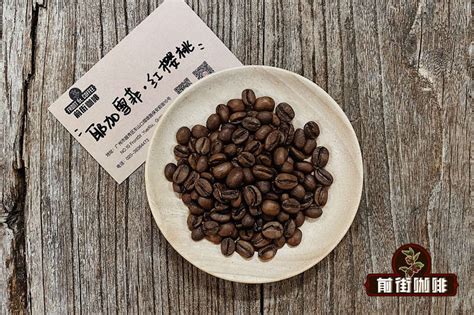 世界十大咖啡品牌推荐 巴西十大咖啡牌子 好喝黑咖啡豆排名特点 中国咖啡网