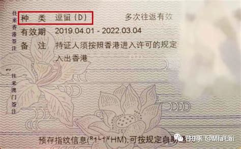 什么人士有权获得香港的工作签证？是不是一定要有香港身份？ - 知乎