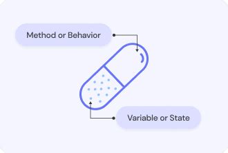 Image result for Encapsulation