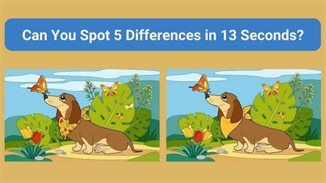 Spot The Difference: Can you spot 5 differences between the two images ...