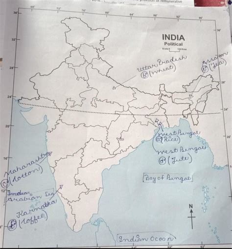 on an outline map of india show wheat,coffee,jute,tea,sugarcane crops ...