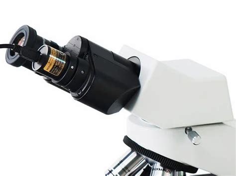 Research Microscope - S 800 Binocular Research Microscope Manufacturer ...