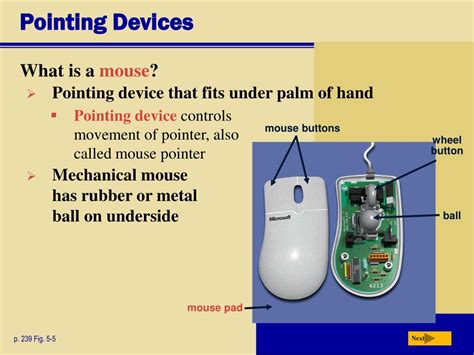 Pointing Device 的图像结果
