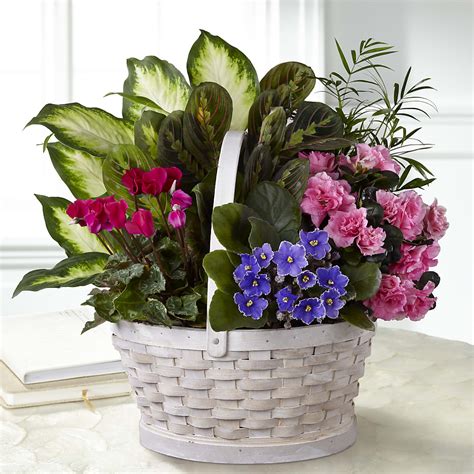 Floor Baskets Flower Delivery Chattanooga TN - Chattanooga Florist