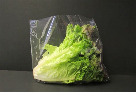 Vented Lettuce Bag, 11" x 3 1/2" x 8 1/4" (1,000 pack) - Glacier Valley ...