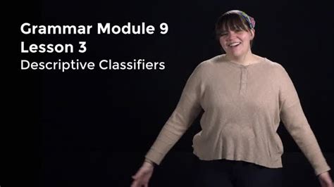 Descriptive Classifiers Examples 的图像结果