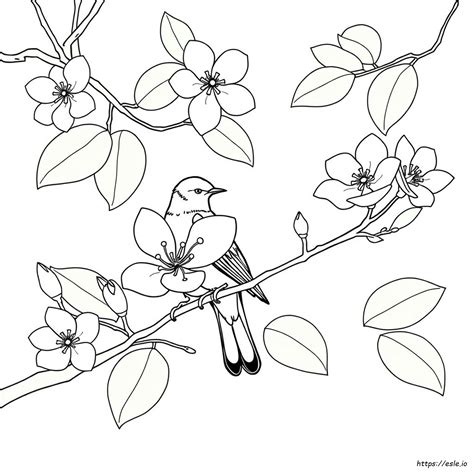 Virginia State Bird Coloring Page