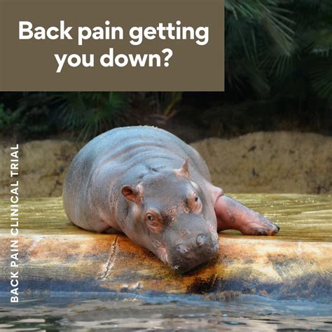 Funny Back Pain Memes