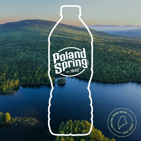 Poland Spring Maine Spring Water, 16.9 Fl Oz, India | Ubuy