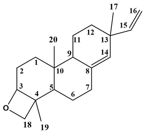 Phytochemical Analysis and In Vivo Anticancer Effect of Becium ...