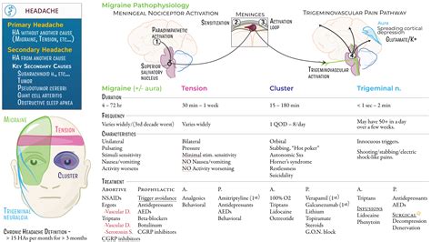 Clinical Pathology: Headache | ditki medical & biological sciences