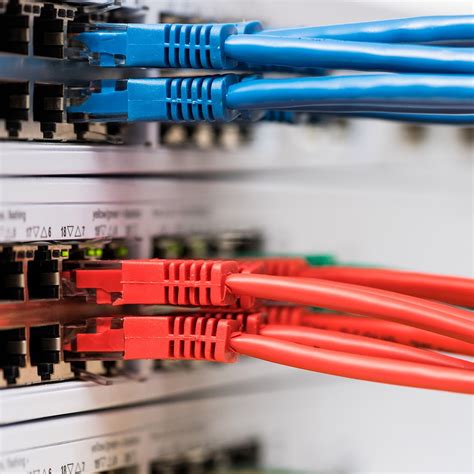 Switch Network Device 的图像结果