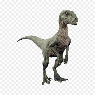 Velociraptor Dinosaur Hd Png Download - Pngsource