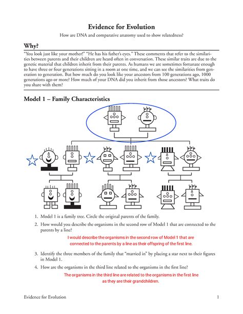 Evidence for Evolution Worksheet 的图像结果