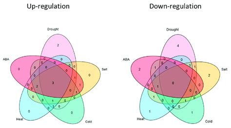 How to Align Vertically Center in CSS 的图像结果