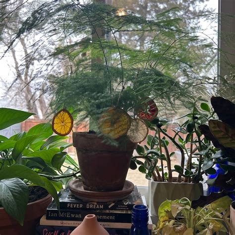 Image result for Annotation Bookmark