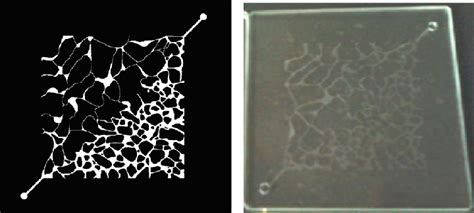 Image result for Heterogeneous 2D Array in Java