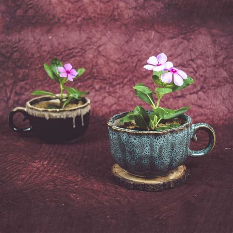 Brick Brown Ceramic Pots for Indoor Plants, Planters, Flower, Cup ...
