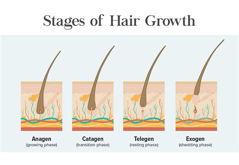 Luxury Derm Clinic - Skin, hair and Laser Clinic in Chennai