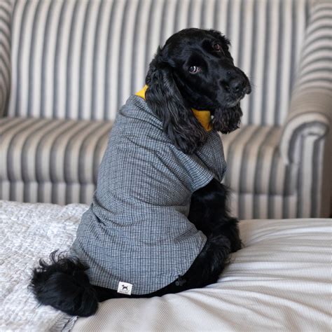 Buy Dog T-Shirts online in India | Cotton Dog T Shirts | PoochMate