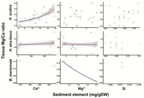 Modeling of the Elements Ca2+, Mg2+ and Si in the Sediments and the ...