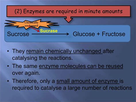 1. Enzyme chemistrynnnnnnnnjjjnjnnnnn.ppt | Chemistry | Science