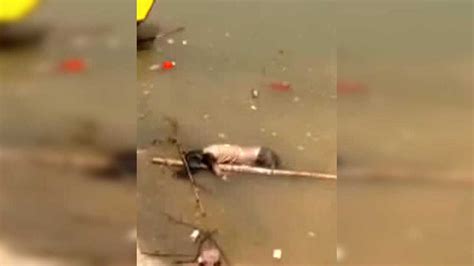 滨州黄河十二路新立河东路打捞上一具女尸
