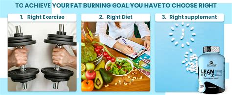 Naturyz LEAN CUTZ Thermogenic Fat Burner with Acetyl L Carnitine, Green ...