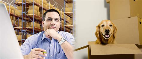 Safe Trans Cargo Packers and Movers Services || Packers and Movers ...