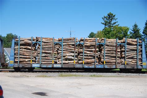 Image result for Transles