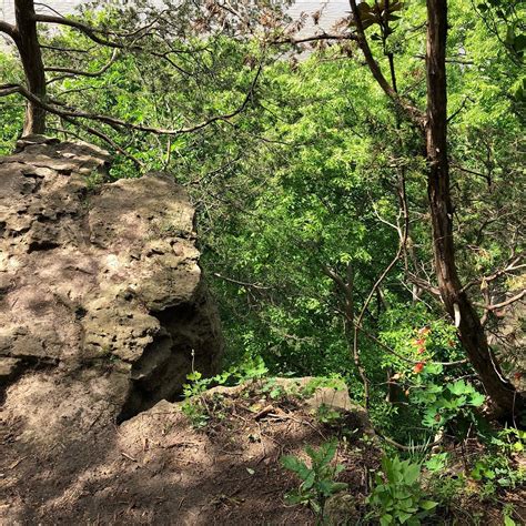 Spring Lake Park Reserve (Hastings) - All You Need to Know BEFORE You Go