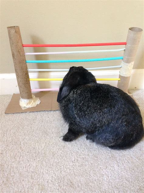 Image result for Homemade Rabbit Run