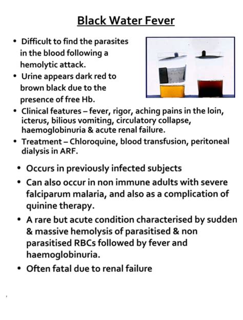 Malaria Black Water Fever