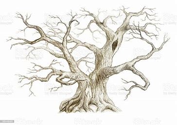 how to draw cartoon human eyes