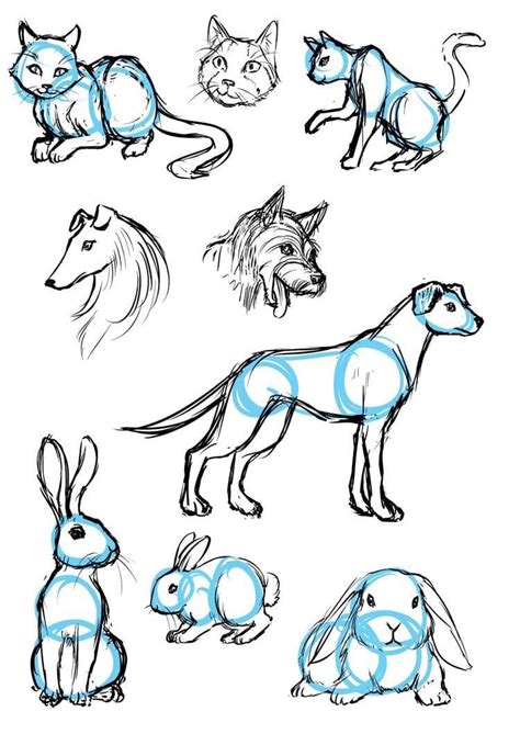 animal pictures to draw easy