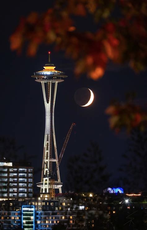 Seattle Neon Signs 的图像结果
