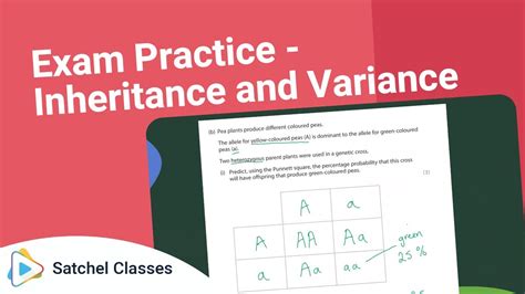 Image result for Inheritance Questions