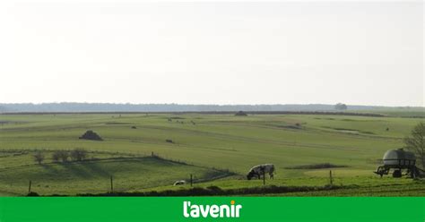L'hiver 2020 a été l'un des plus doux depuis presque 200 ans - L'Avenir