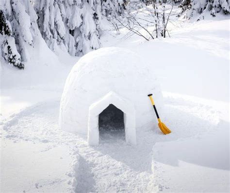 Pop-Up Peepers: Winter Survival, Boardman River Nature Center, Traverse ...