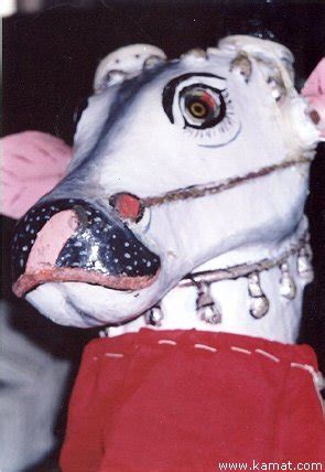 Kamadhenu - JungleKey.in Image #200