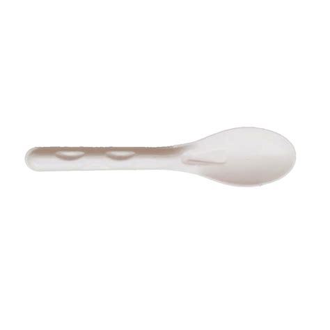 AM5815 Freshee Disposable Bagasse Spoons - Pack of 10 – Amd-Deodap