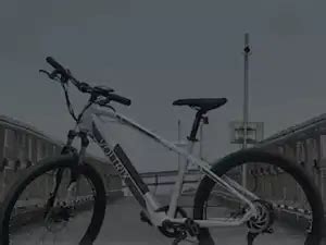 electric bicycle: Voltrix Mobility enters e-cycle segment, launches ...